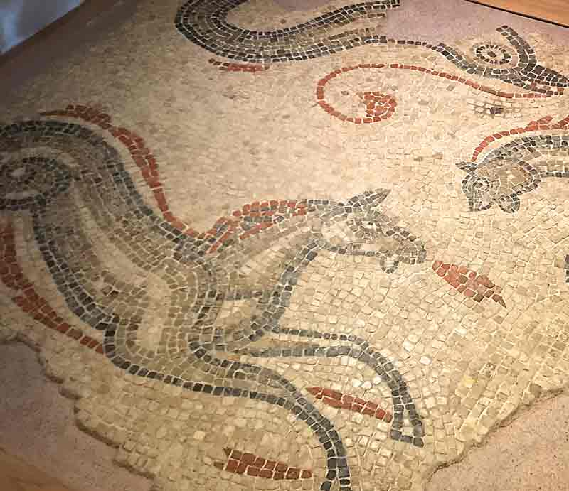 Galloping horse and a dolphin.